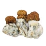 3.5g