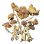 3.5g