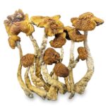3.5g