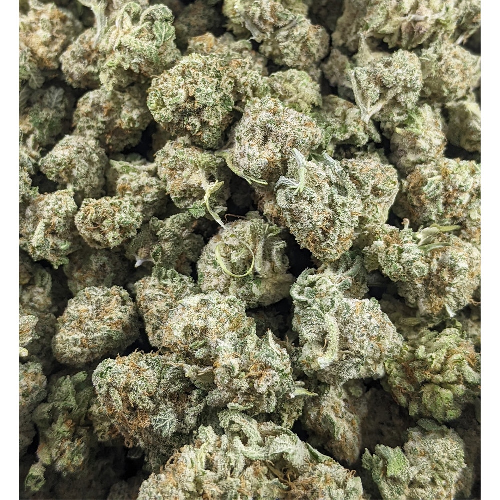 J-40