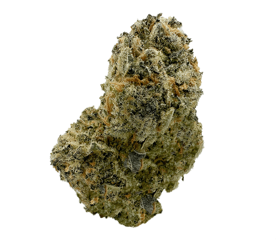 What would you say about experiencing both the stimulating effects of Sativa and calming ones of Indica strains at the same time? If this is something that intrigues you, then it is time for you to consider the high-quality hybrid weed that we have on offer at our online store. This high-quality hybrid weed is meticulously crafted & sourced from the pristine terrain of British Columbia by experts who have years of experience in cultivating these fine offerings. Our High Quality Hybrid Weed in Vancouver is a harmonious blend of Sativa's energy and Indica's tranquillity. Our hybrid selection has a delicate balance of THC and CBD levels that caters to both recreational & therapeutic users. The distinct combination offers a balanced high, providing users with a unique sensory experience that stimulates the mind while soothing the body. Once you have experienced them, you are unlikely to go back to anything else. These offerings are rigorously tested for purity, potency, and safety to make sure that you only get the best. So, don’t wait - embark on a unique cannabis journey with our High-Quality Hybrid Weed.