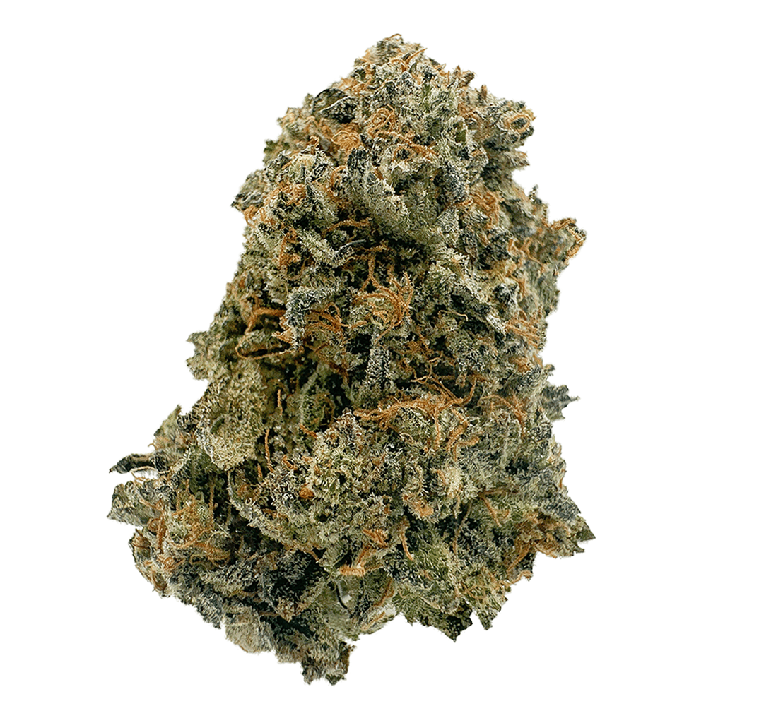 If you are looking to purchase Sativa Weed in Strains BC, then you could not have landed at a better site to fulfill your needs than Buy Weed Online Dispensary. Elevate your senses and energize your spirit with our exceptional selection of Sativa Weed Strains from our online store. We source these excellent offerings from the unspoiled landscape of BC, ensuring that there is no compromise with the quality of the product. Our Sativa Strains are known for their uplifting and cerebral effects – boosting creativity, stimulating conversation and adding a sparkle to one's day. Each puff delivers a wave of exhilaration, filling you with a sense of euphoria, focus, and mental clarity – what more could you ask for? Don’t hesitate for a second more and get your hands on our excellent offerings listed at amazing prices right now. Discover the stimulating beauty of Sativa Weed Strains - an engaging invitation to the invigorating realm of high-quality cannabis. And with the timely and hassle-free delivery that we offer, you simply could not find a better companion that can help you out. We also have a customer support helpline for you to connect with.