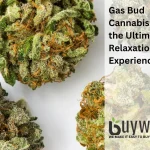 4 featured gas buds strains