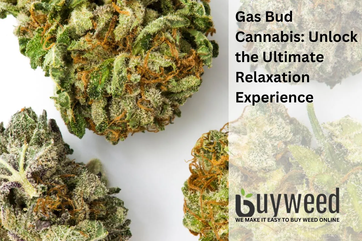 4 featured gas buds strains