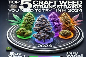 Top 5 Craft Weed Strains You Need to Try in 2024 at Buyweed