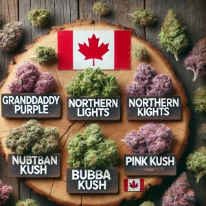 image showing popular Indica Variants in Canada