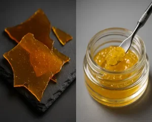 The quick primer the difference between shatter and live resin