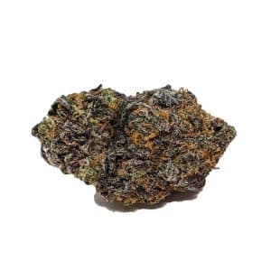 Purple Martian Kush AAAA