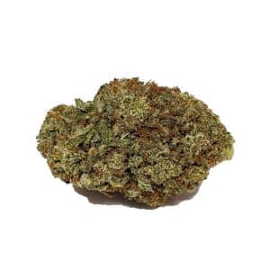 Jet Fuel AAAA *PROMO*