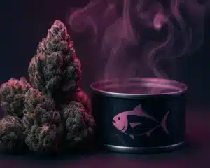 Black Tuna Strain basics for pink-gassy palates