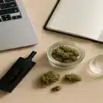 Cannabis Flower for Focus A Beginner’s Field Guide