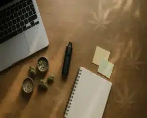 The best cannabis flower for focus is the one that brings it all together.