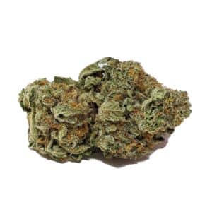 Sensi Skunk AAA-