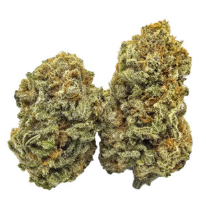 Girl Scout Cookies AAA-